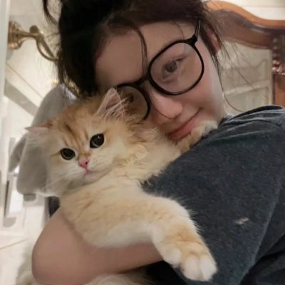 八面玲珑的申小姐